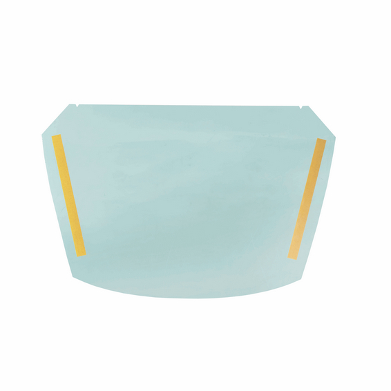 Folie protectoare cagula X-plore 8000